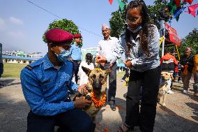 Kukur Tihar- Day Of Dogs In Nepal