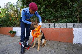 Kukur Tihar- Day Of Dogs In Nepal