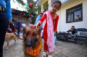 Kukur Tihar- Day Of Dogs In Nepal