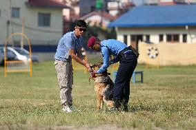 Kukur Tihar- Day Of Dogs In Nepal