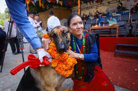 Kukur Tihar- Day Of Dogs In Nepal