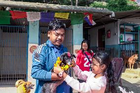 Dog Worship Day In Nepal.