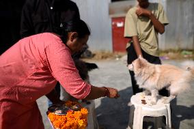 Kukur Puja Or Dog Festival Celebrated In Nepal