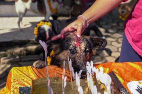 Dog Worship Day In Nepal.