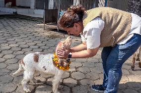 Dog Worship Day In Nepal.