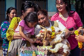 Dog Worship Day In Nepal.