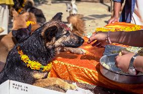 Dog Worship Day In Nepal.