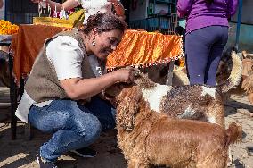 Dog Worship Day In Nepal.