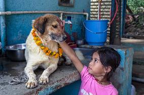 Dog Worship Day In Nepal.