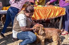 Dog Worship Day In Nepal.