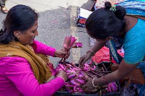 Tihar Festival Vibes In Nepal.