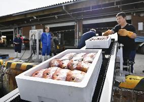 First shipment from quake-hit Wajima port