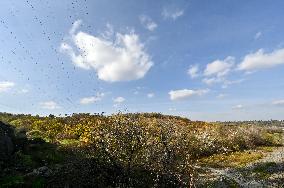 Khortytsia Island in autumn