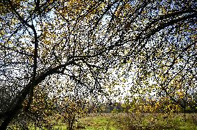 Khortytsia Island in autumn