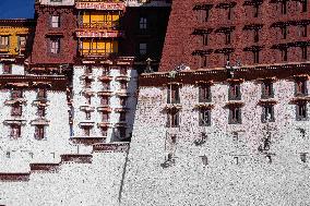 Potala Palace Annual Renovation - Lhasa