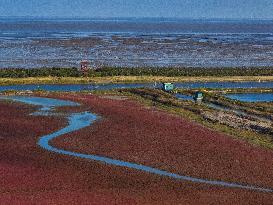 Tiaozini Wetland Autumn Scenery - China