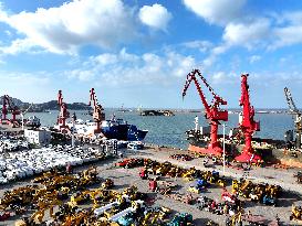 Lianyungang Port Vehicles