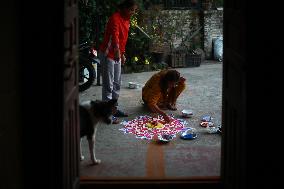 Tihar Festival Celebrated In Nepal