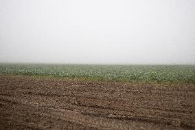 Annie Genevard visits a farm - Morigny-Champigny