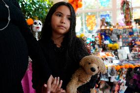 Ofrenda altar at the White House - Washington