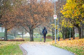 Autumn In Linkoping