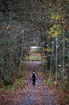 Autumn In Linkoping