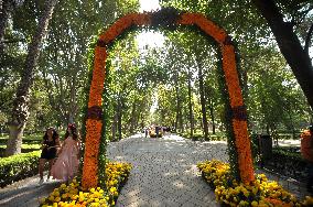 Ofrendas Decorate Streets For Dia De Muertos Celebrations