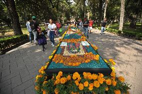 Ofrendas Decorate Streets For Dia De Muertos Celebrations