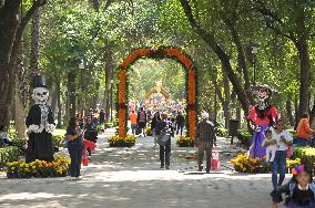 Ofrendas Decorate Streets For Dia De Muertos Celebrations