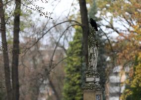 All Saints' Day In Krakow