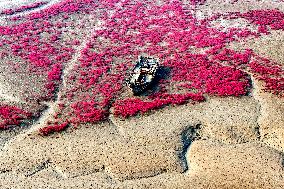 Red Beach in Qingdao