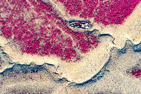 Red Beach in Qingdao