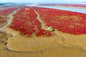 Red Beach in Qingdao