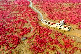 Red Beach in Qingdao