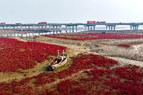 Red Beach in Qingdao