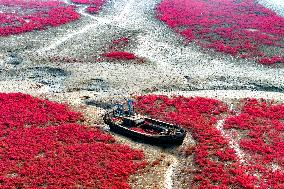 Red Beach in Qingdao