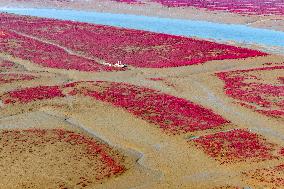 Red Beach in Qingdao