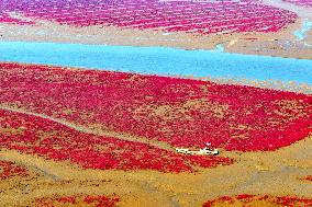 Red Beach in Qingdao