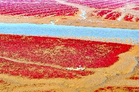 Red Beach in Qingdao