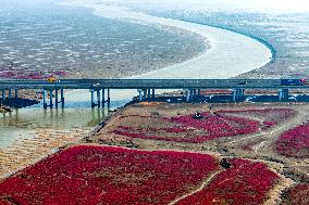 Red Beach in Qingdao