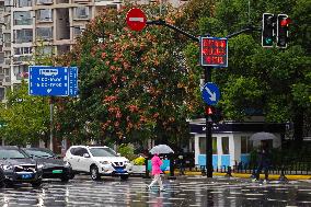 Typhoon Kong-Rey Hit Shanghai