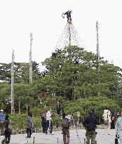 Tree protection work at Kanazawa garden