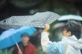 Typhoon Kong-Rey Hit Hangzhou