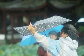 Typhoon Kong-Rey Hit Hangzhou