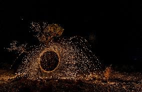 Populus euphratica Under Moonlight in Karamay