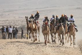 Israel-Bedouin Camel Racing