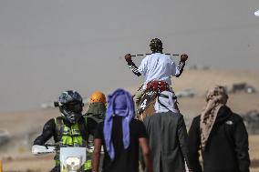 Israel-Bedouin Camel Racing