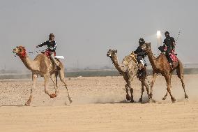 Israel-Bedouin Camel Racing