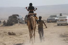 Israel-Bedouin Camel Racing