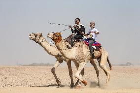 Israel-Bedouin Camel Racing